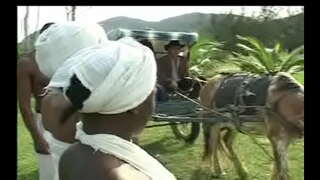 Ut Negras da senzala