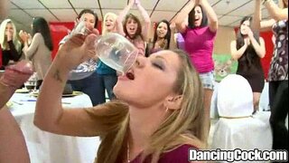 Dancingcock Magnus Gallus Celebratione