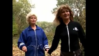 Darg&#039;azab pishib chim ustida bir-birining mushuk bilan tajriba istayman